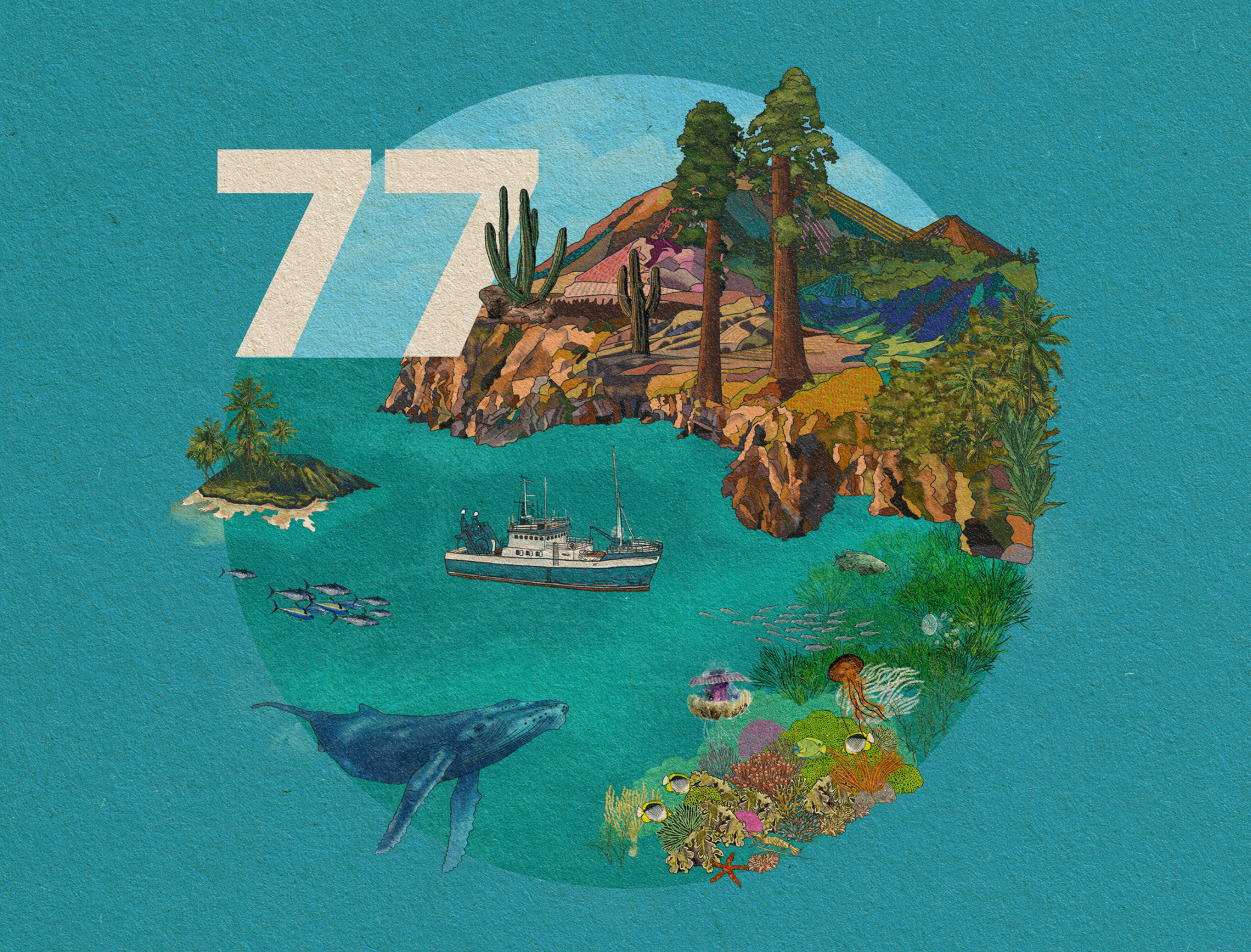 Review of the state of world marine fishery resources 2025, image 5