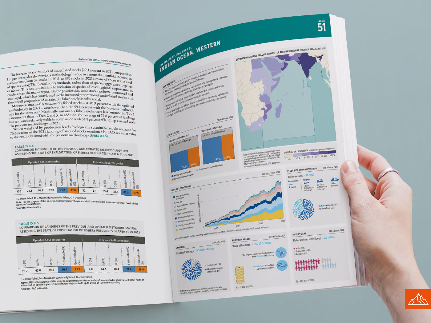 Review of the state of world marine fishery resources 2025, Infographic 3